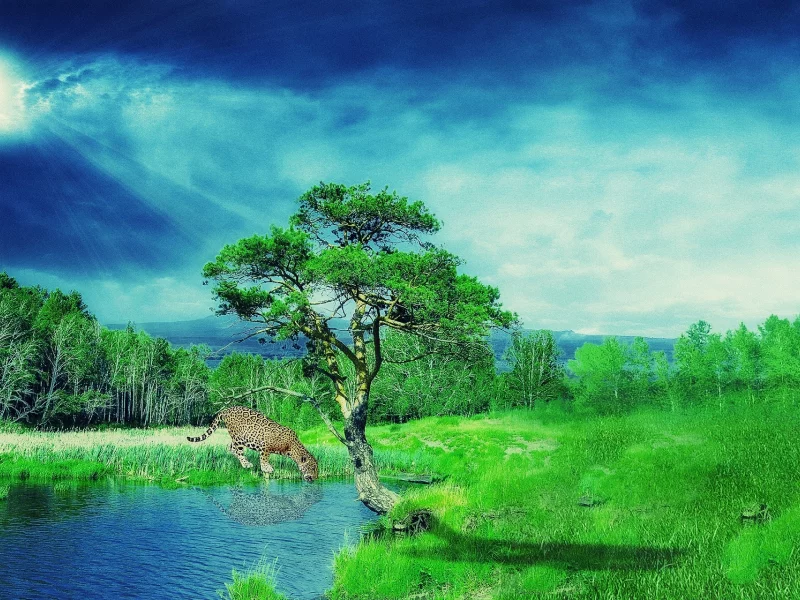 пейзаж, ягуар