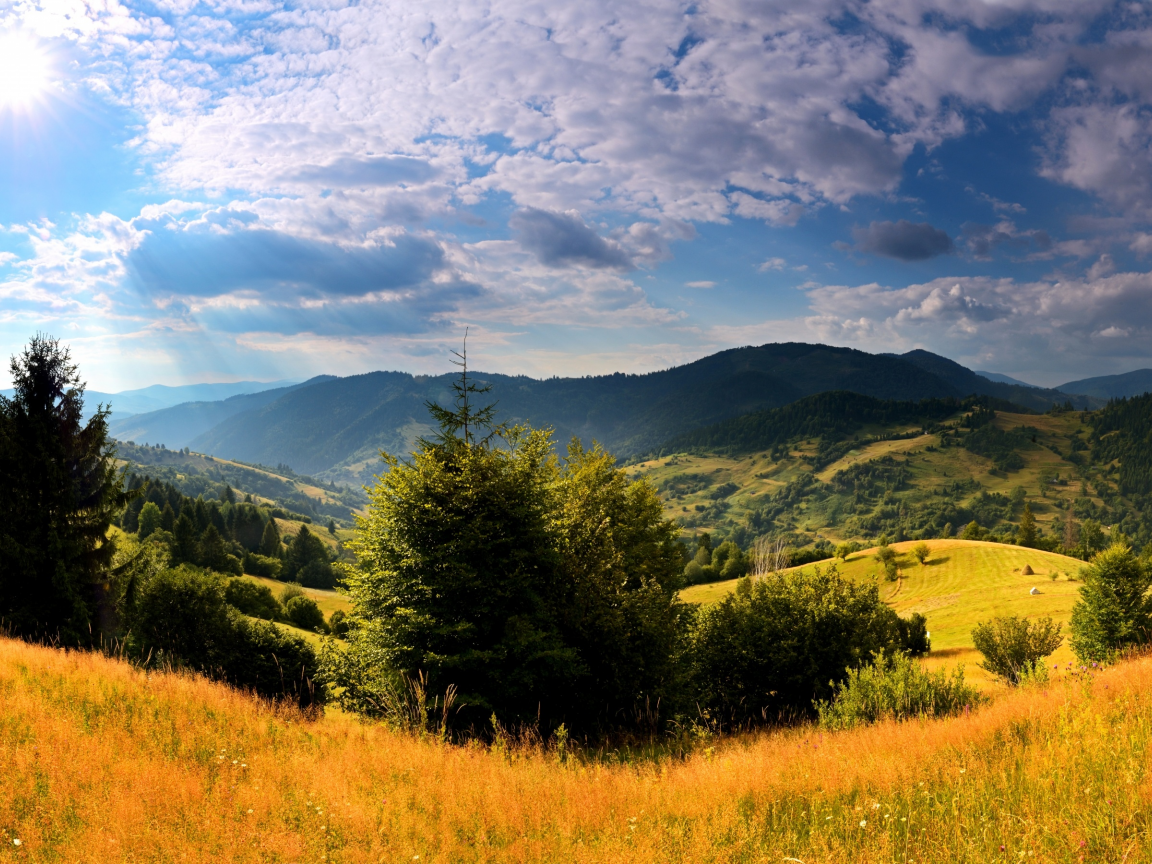 красота, луга, поля, горы, краина, деревья, облака, солнце, небо, трава, арпаты, леса