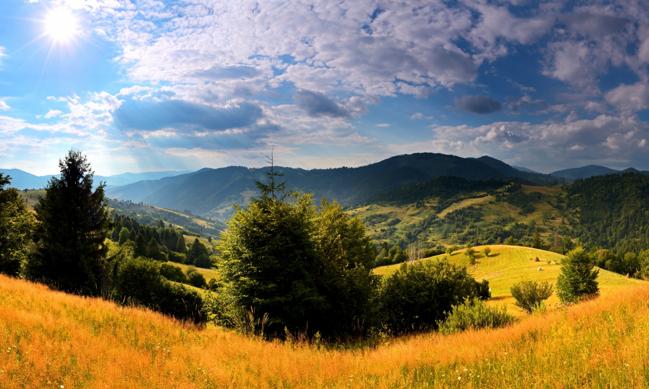 красота, луга, поля, горы, краина, деревья, облака, солнце, небо, трава, арпаты, леса