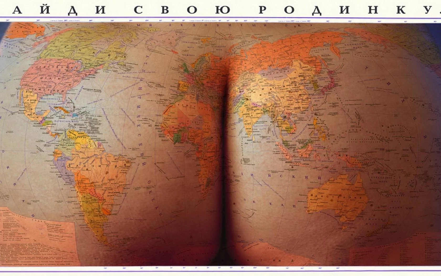карта, попа