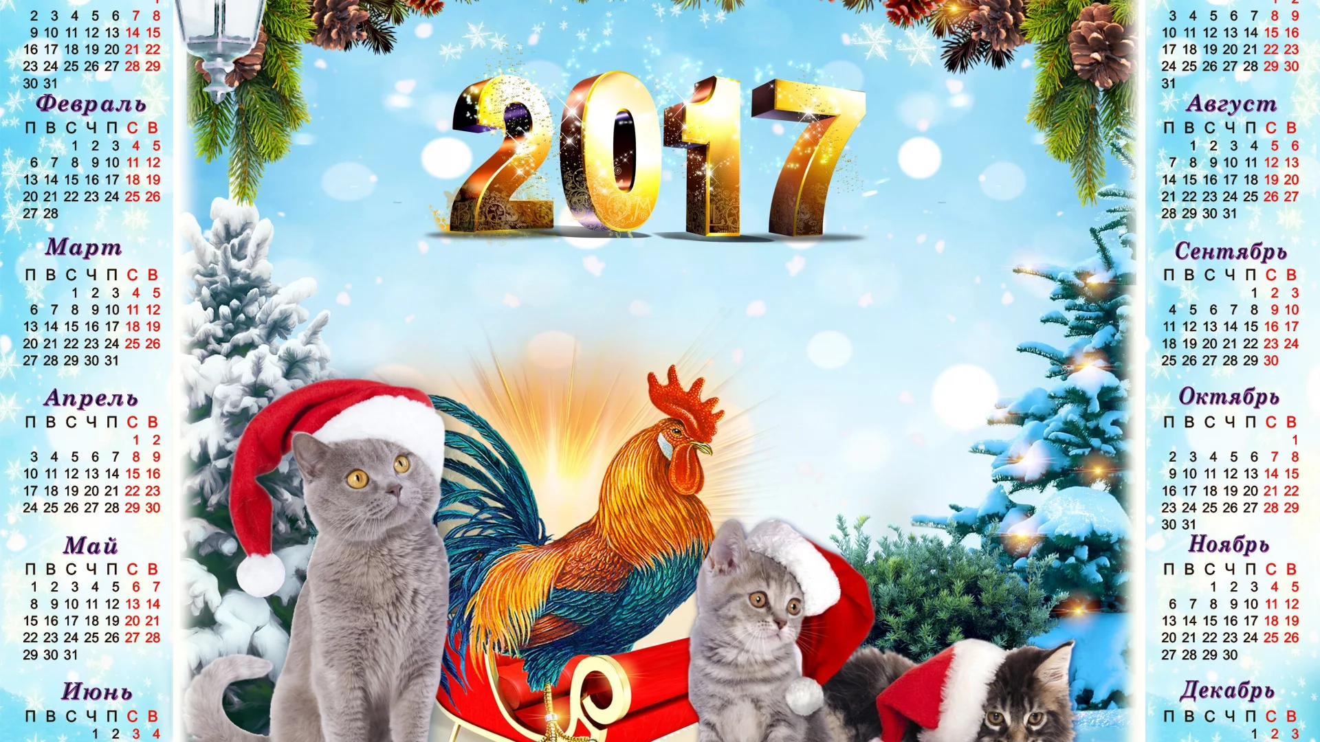 2017 год, фон, год петуха, серые, календарь, ели, голубой фон, котята