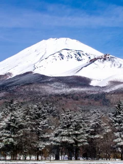 гора, лес