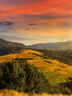 леса, осень, трава, небо, солнце, возвышенность, деревья, горы, лучи, поля, желтая