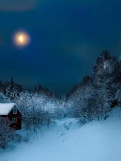 зима, дом, ночь, месяц