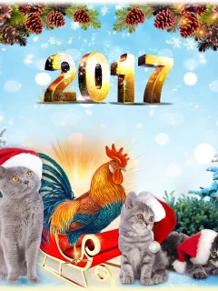 2017 год, фон, год петуха, серые, календарь, ели, голубой фон, котята