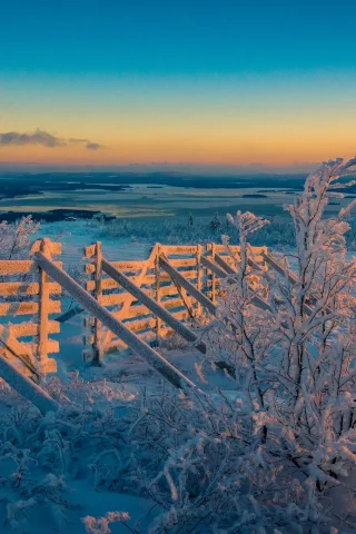 зима, снег