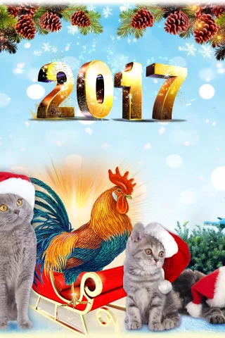 2017 год, фон, год петуха, серые, календарь, ели, голубой фон, котята