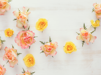 wood, roses, flowers