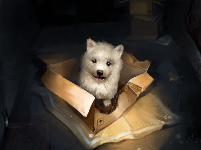 коробка, щенок, by alamanra