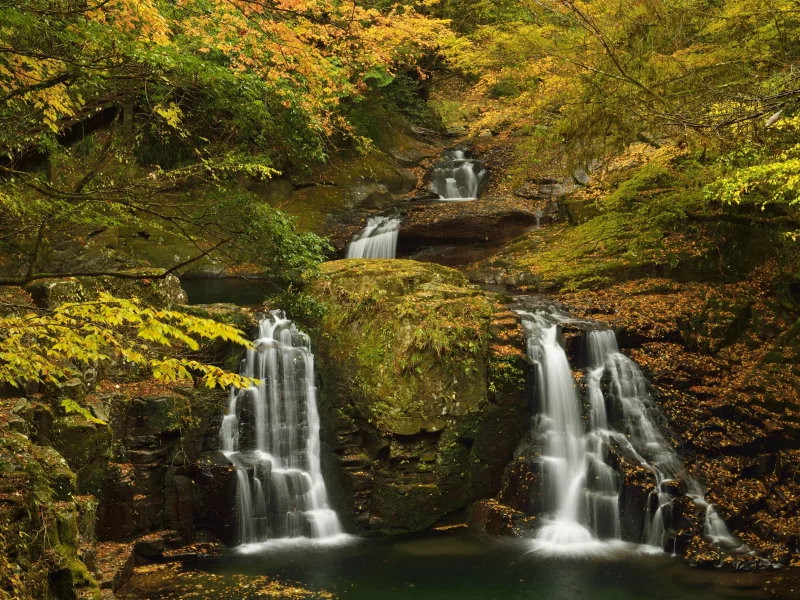 камни, осень, желтые, лес, ручей, листья, мох, кусты, деревья, водопад