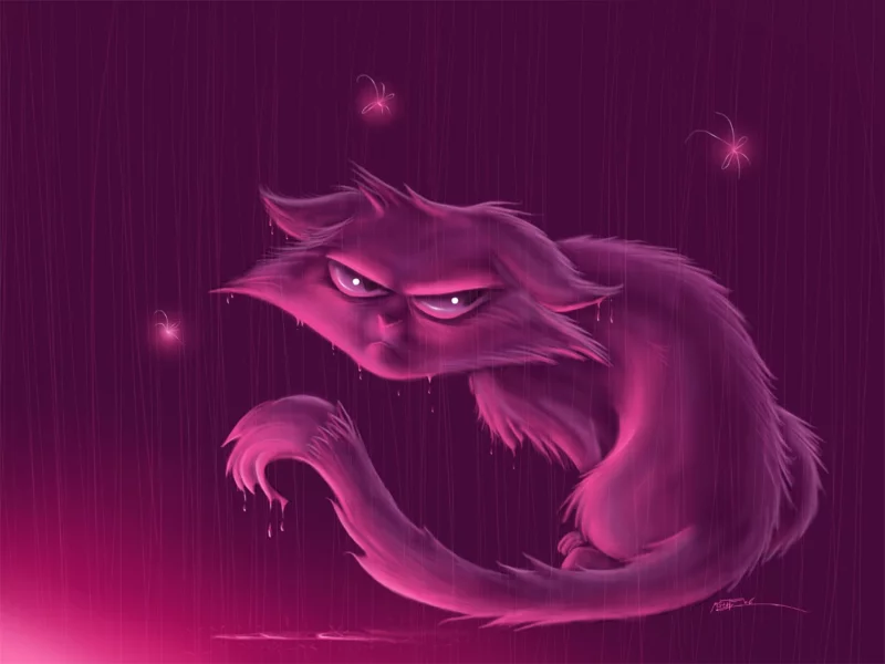 кот, дождь, взгляд