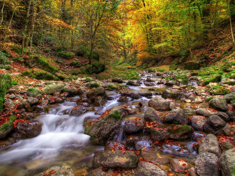 природа, водопад, камни