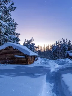 заимка, тропа в снегу
