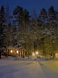 лес, база для отдыха
