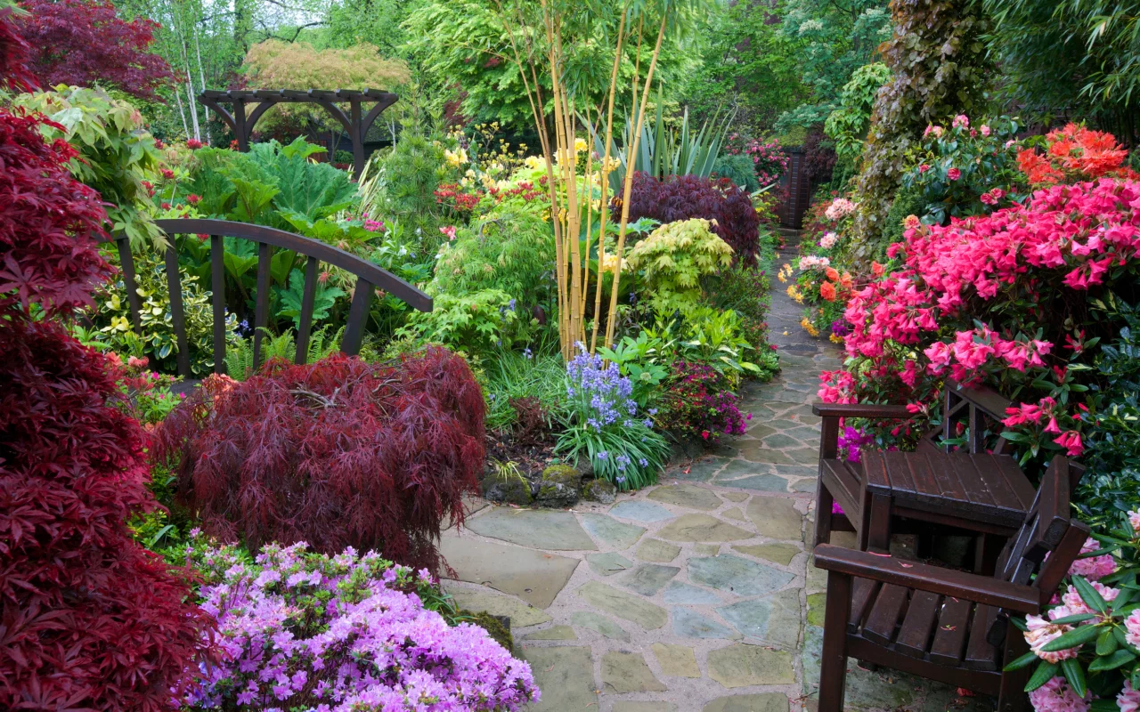 англия, сады, рододендрон, walsall garden, кусты, стулья, природа