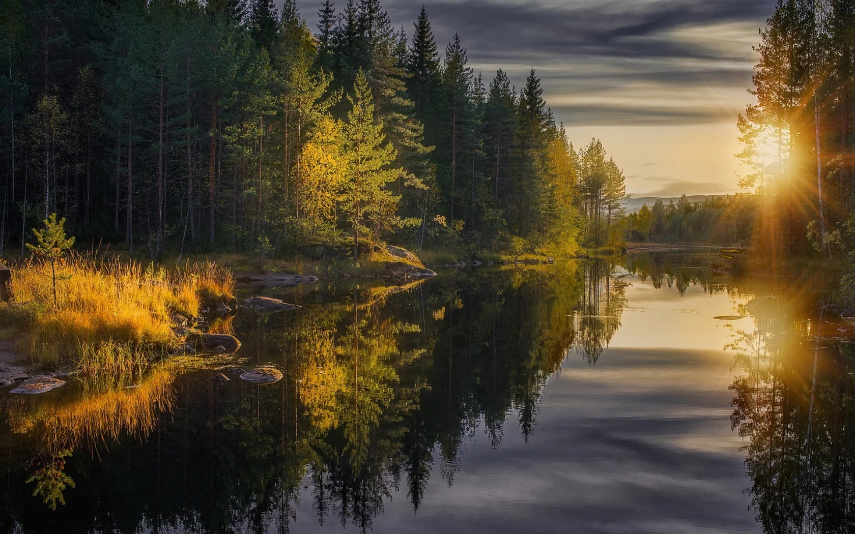 природа, речка, лес, солнце