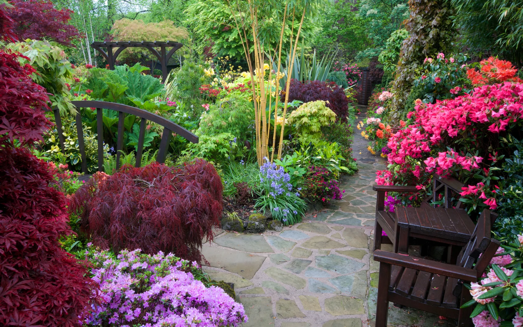 англия, сады, рододендрон, walsall garden, кусты, стулья, природа