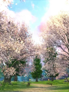 blade and soul, сакура, поляна, равнина ветров