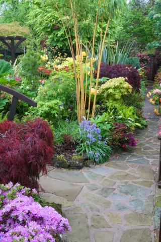 англия, сады, рододендрон, walsall garden, кусты, стулья, природа