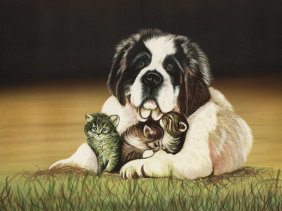 собаки, кошки, рисованные, сенбернар, трава, котята