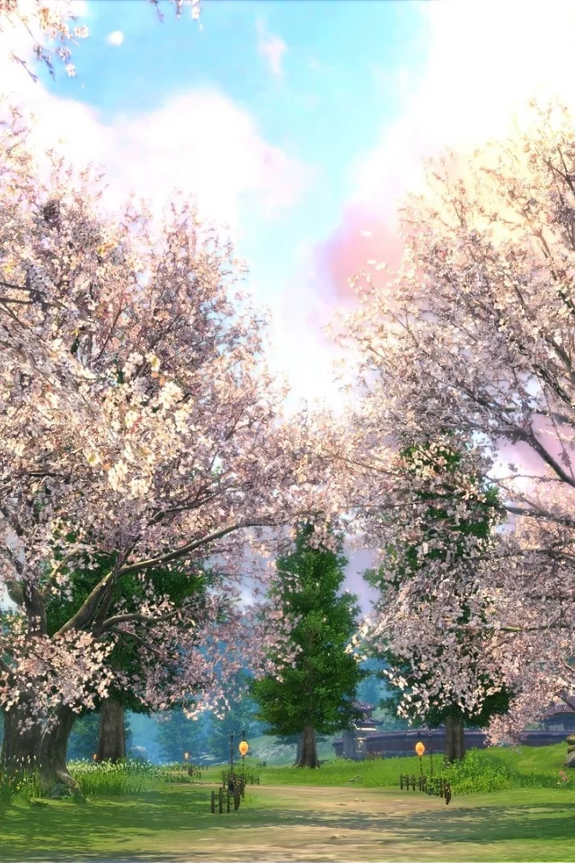blade and soul, сакура, поляна, равнина ветров