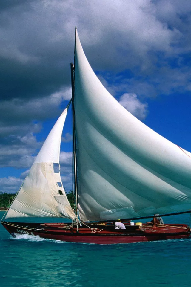 лодка, парус, море, пальмы
