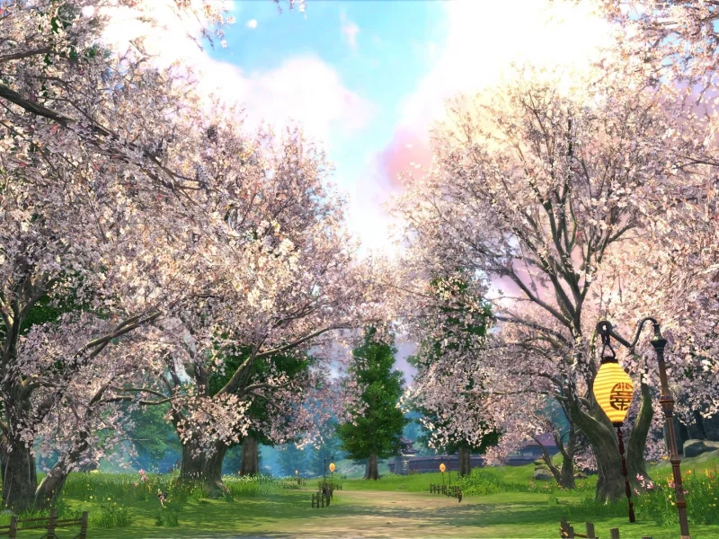 blade and soul, сакура, поляна, равнина ветров