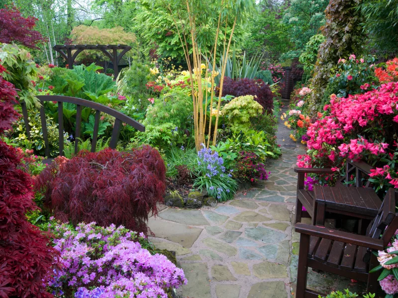 англия, сады, рододендрон, walsall garden, кусты, стулья, природа