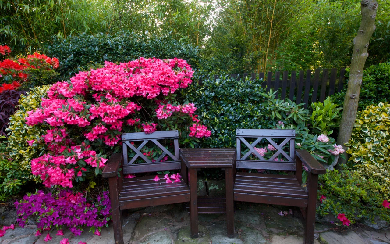 англия, сады, рододендрон, walsall garden, скамейка, кусты, деревья