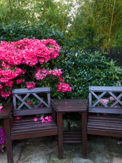 англия, сады, рододендрон, walsall garden, скамейка, кусты, деревья