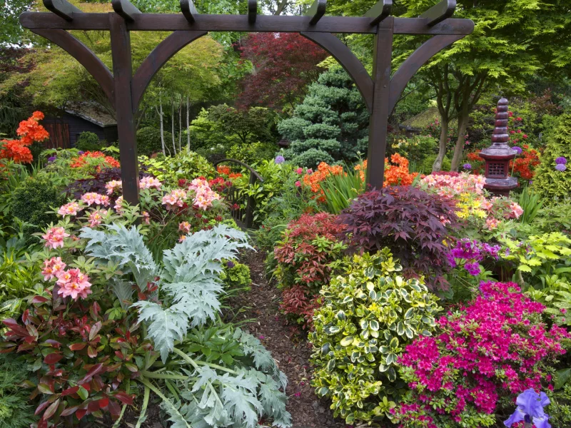англия, сады, рододендрон, walsall garden, кусты, природа