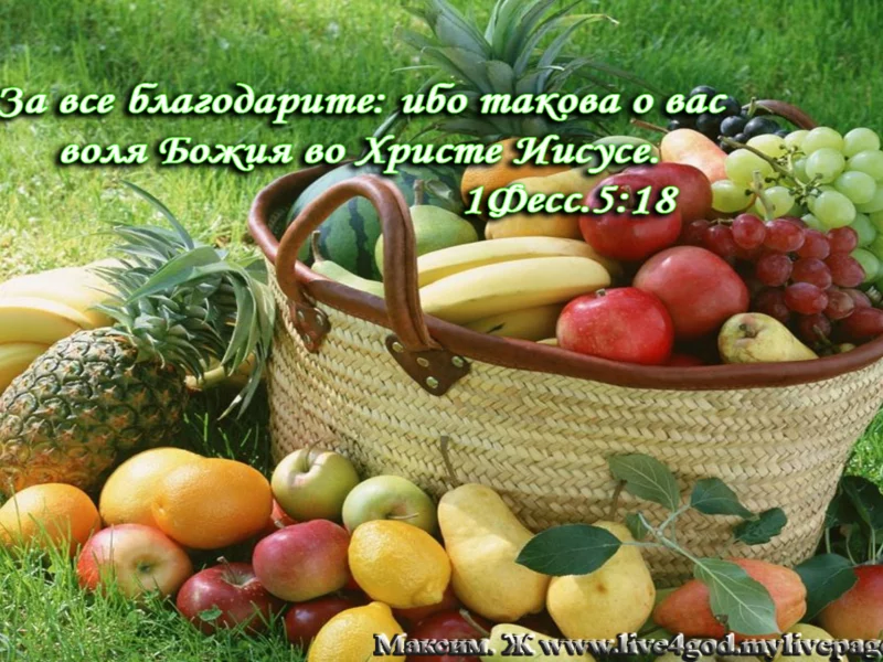 христианские обои, слова, библия, фрукты