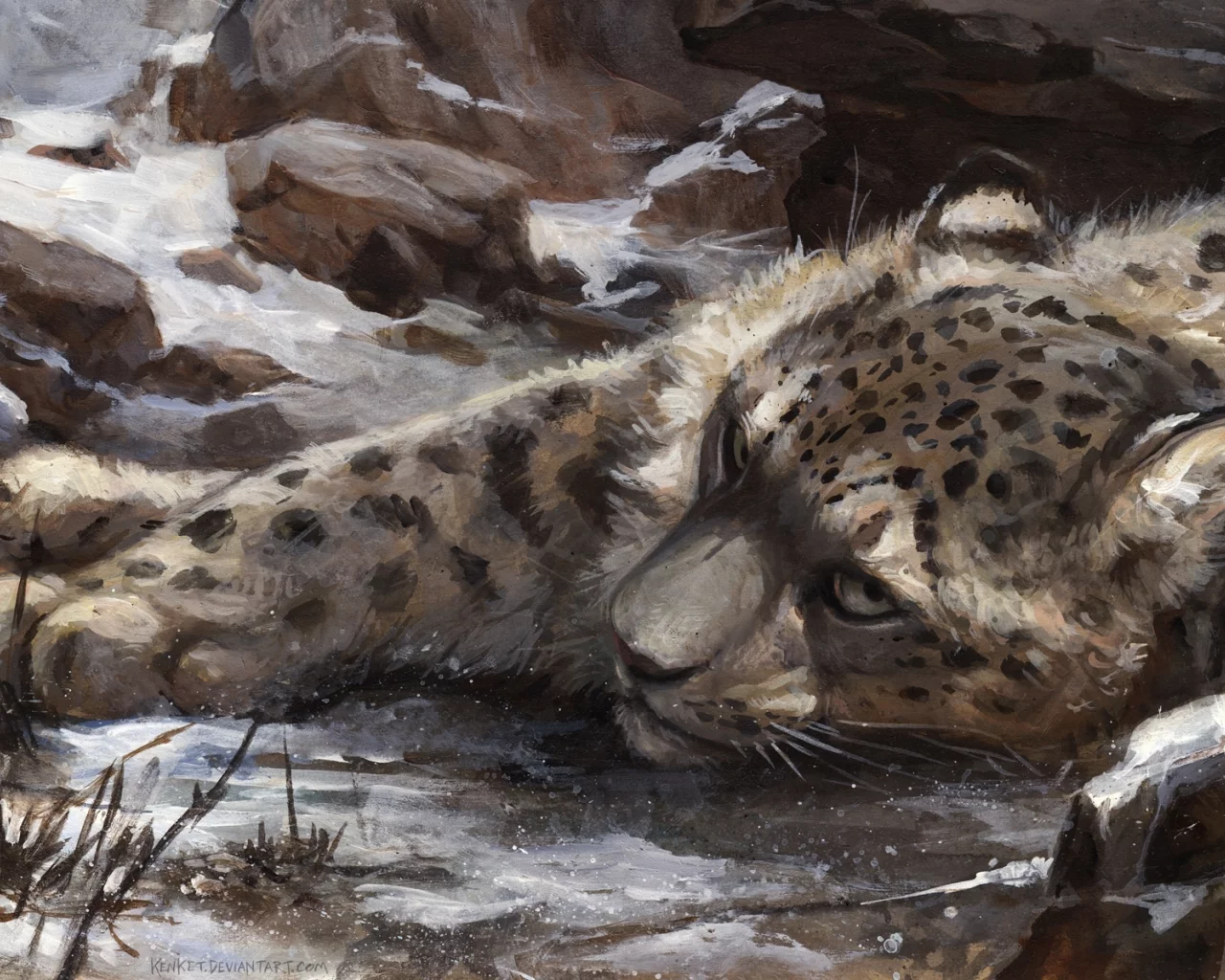 снег, by kenket, барс