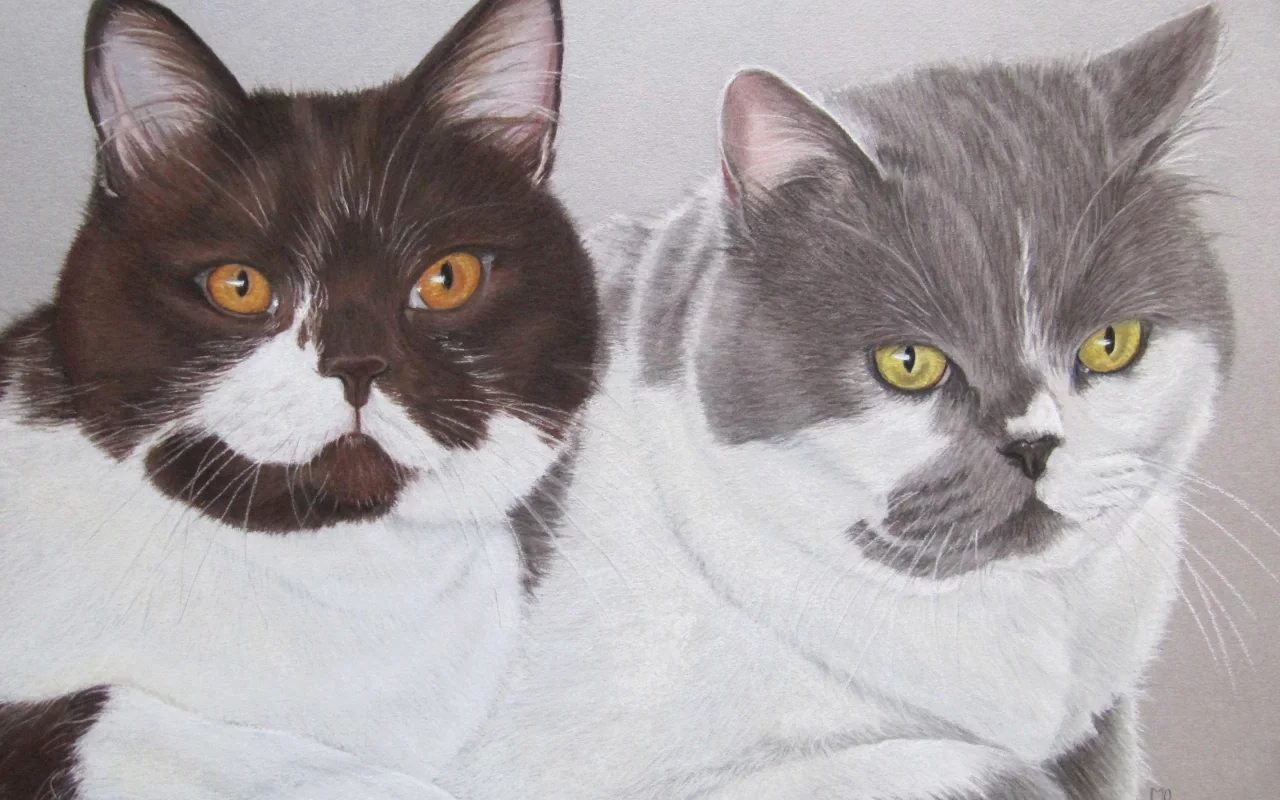 коты, рисунок