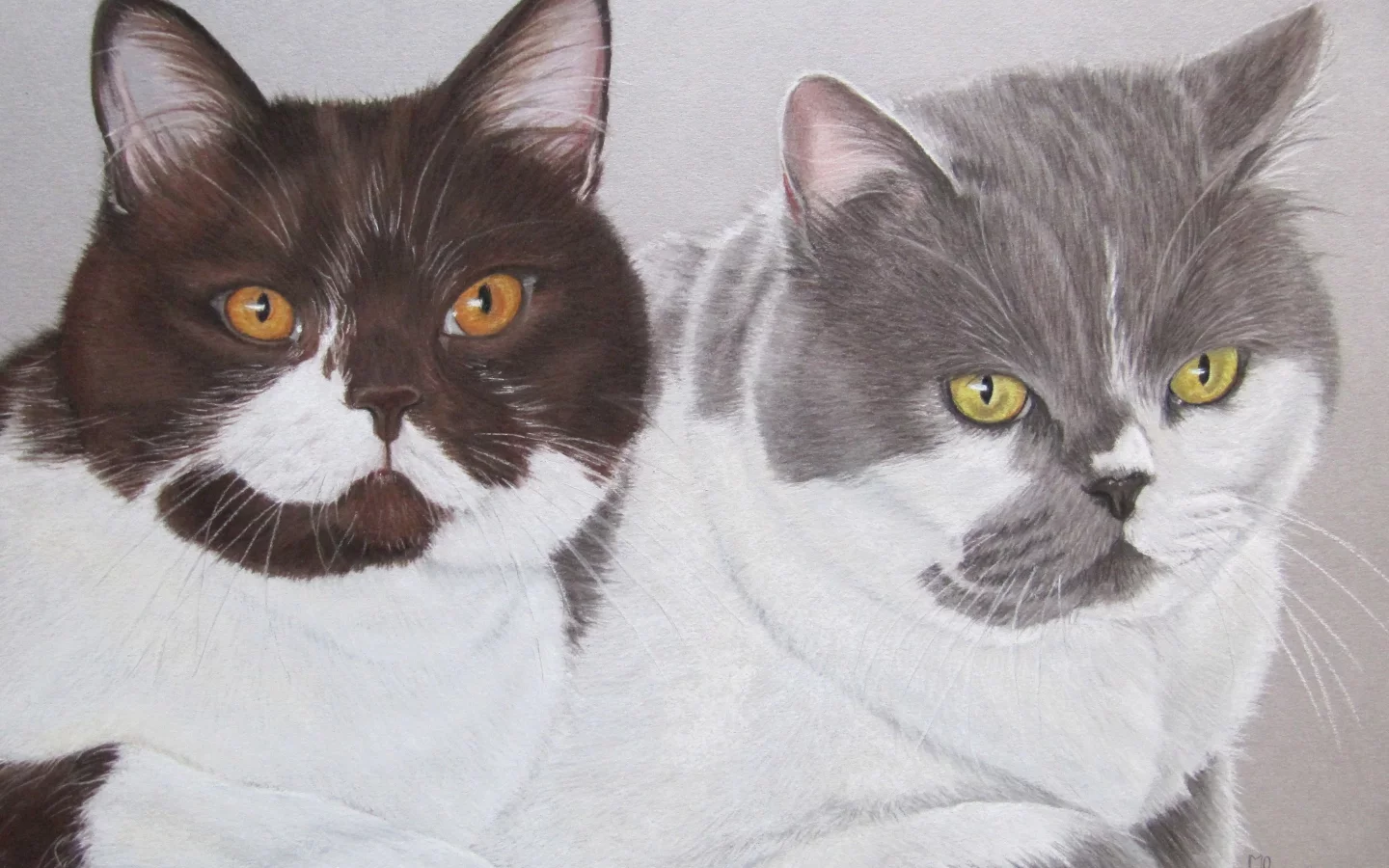 коты, рисунок