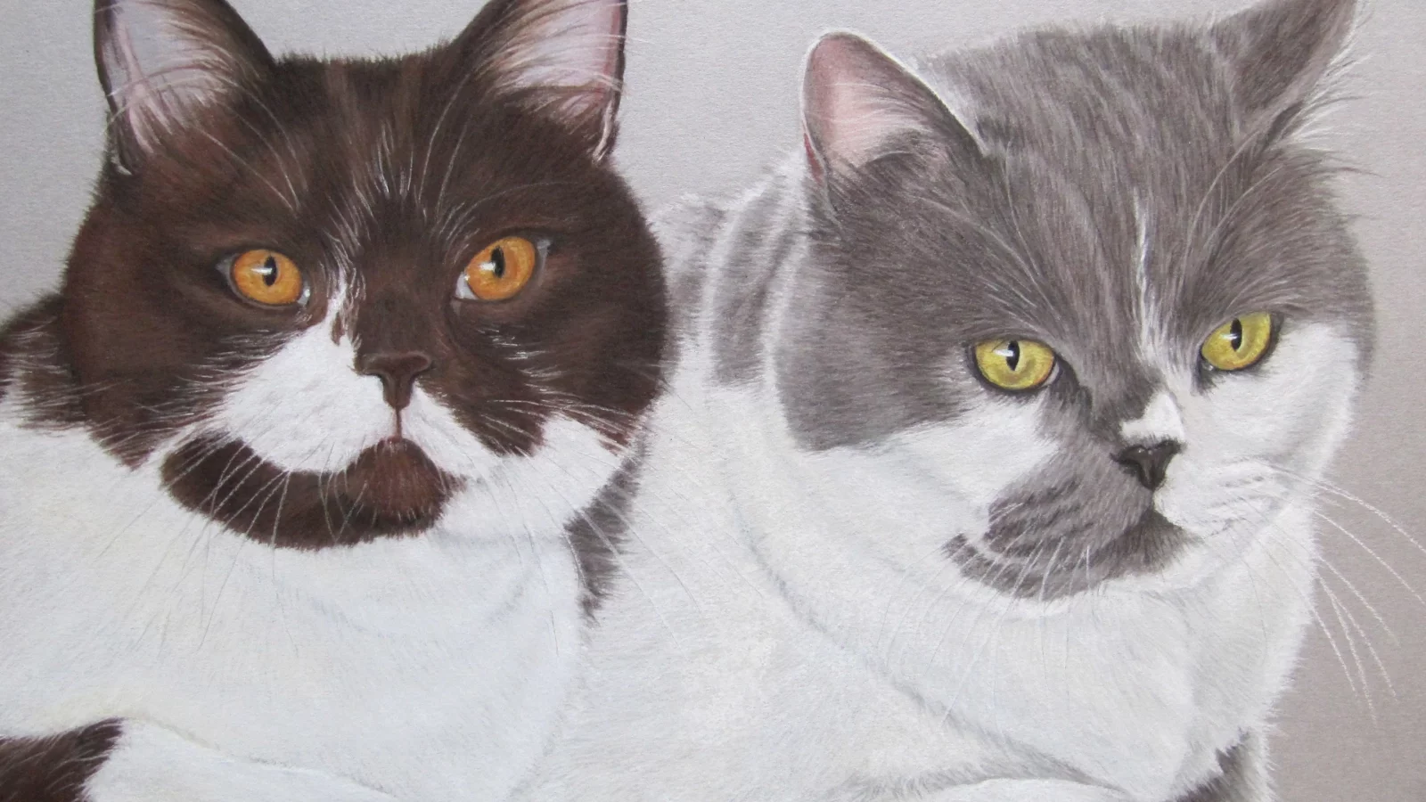 коты, рисунок