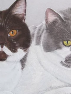 коты, рисунок
