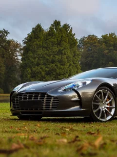 aston martin, газон