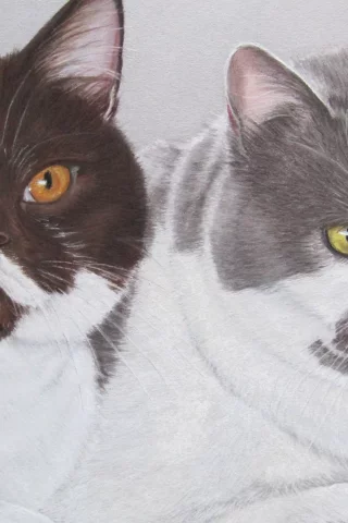 коты, рисунок