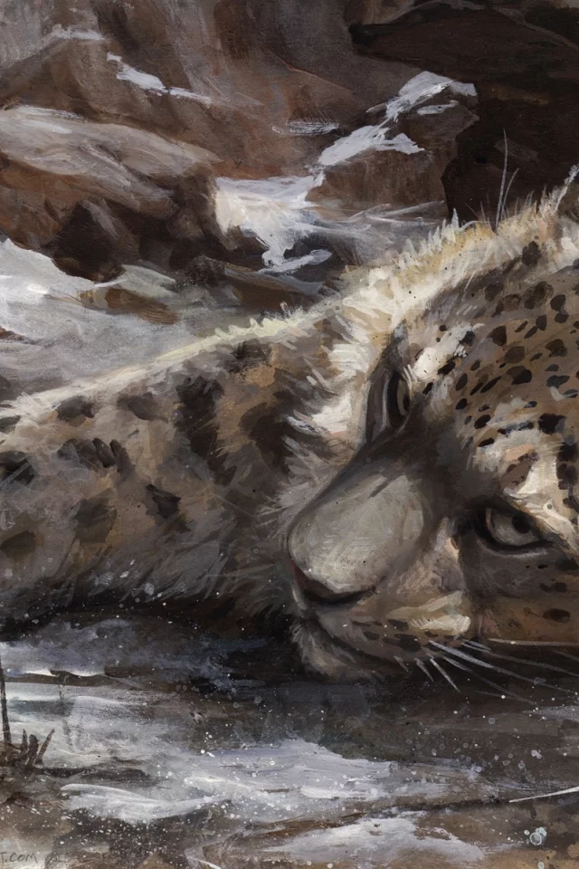 снег, by kenket, барс