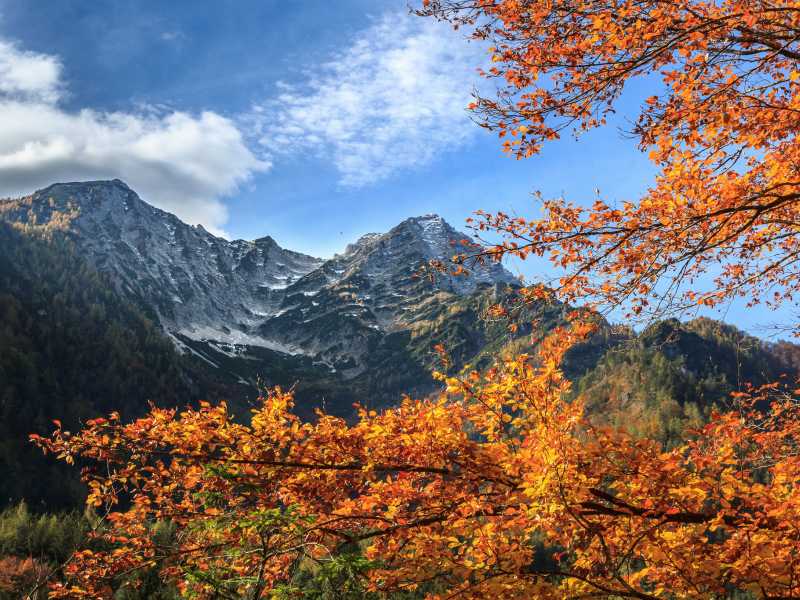 горы, осень