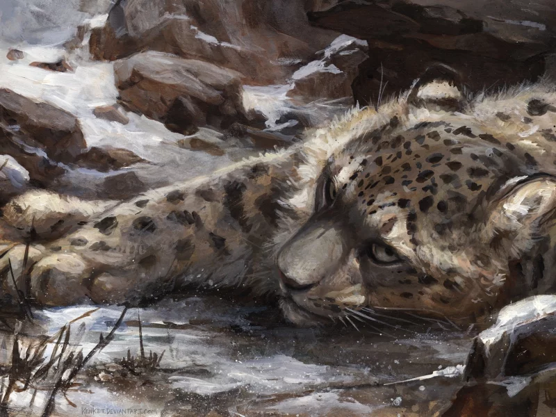 снег, by kenket, барс