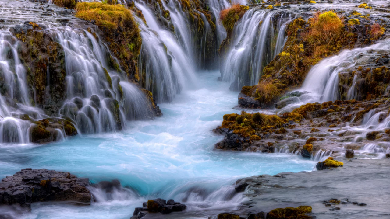 природа, красота