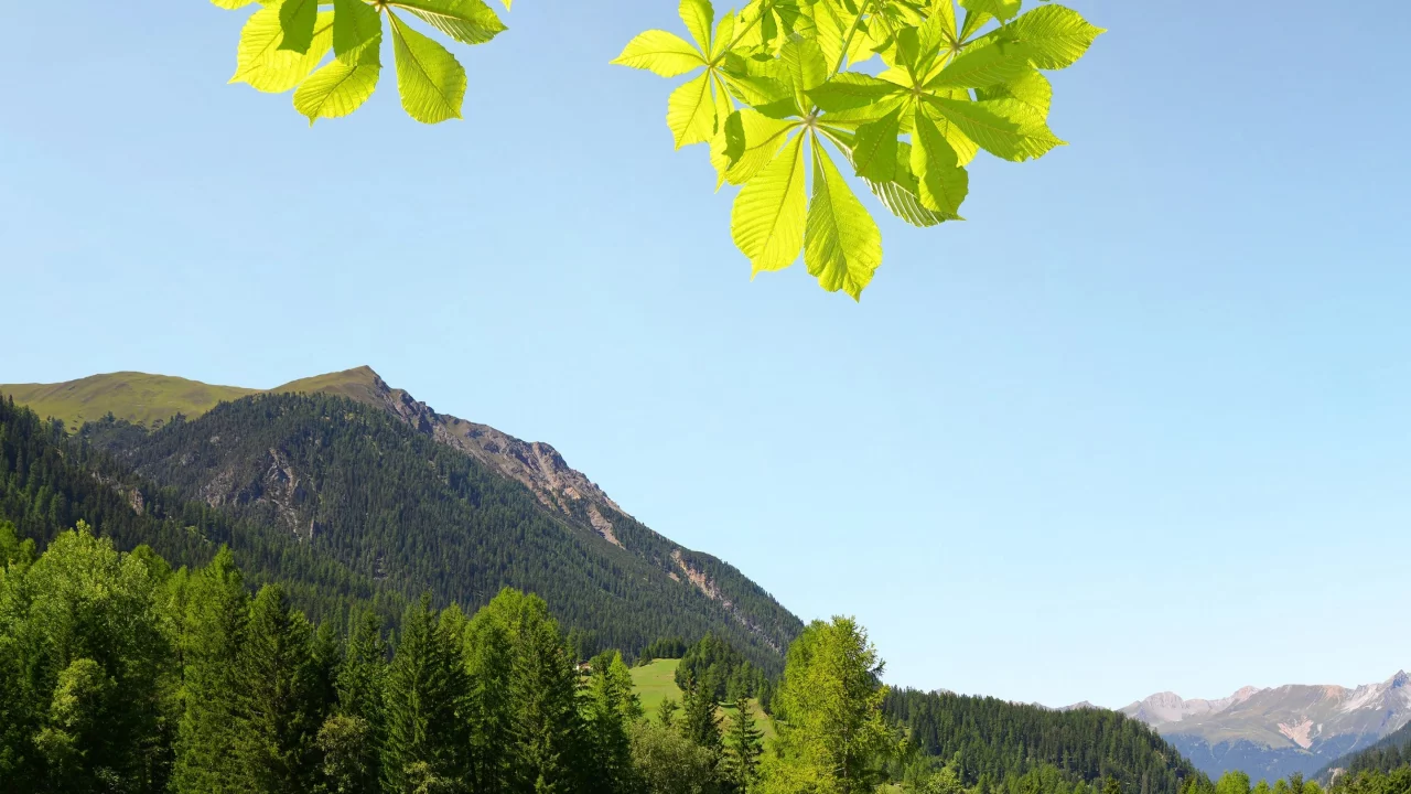 природа, красота