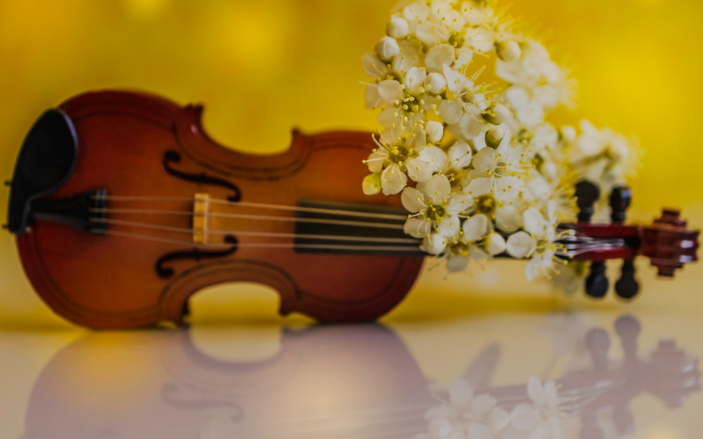 цветы, скрипка
