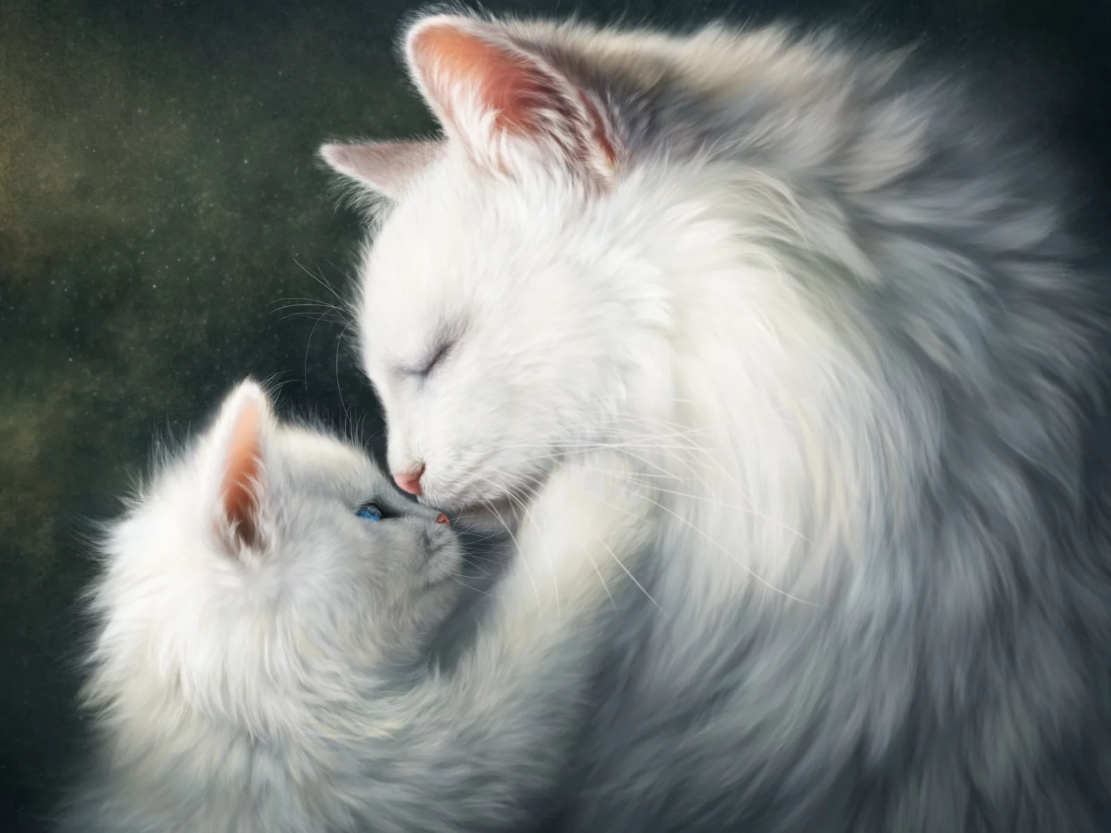 кошки, нежность