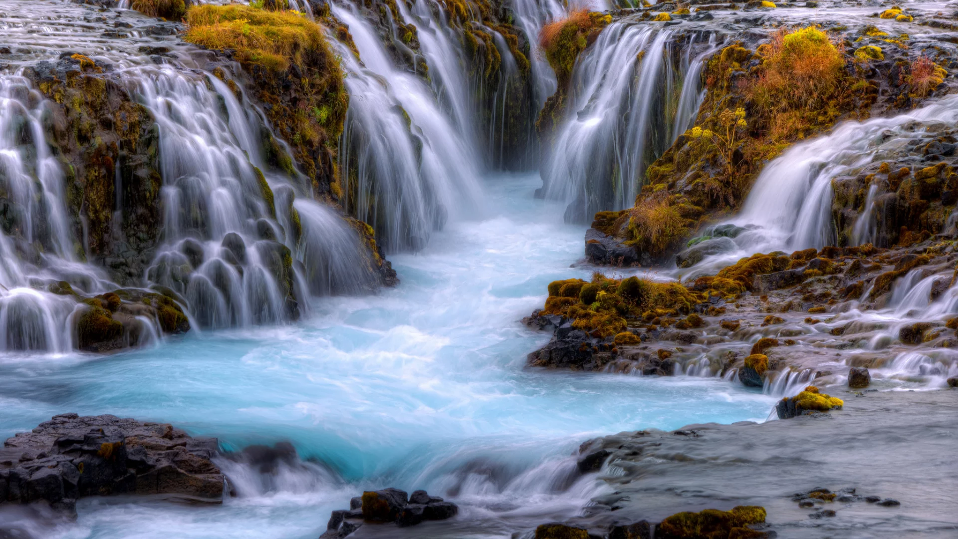 природа, красота