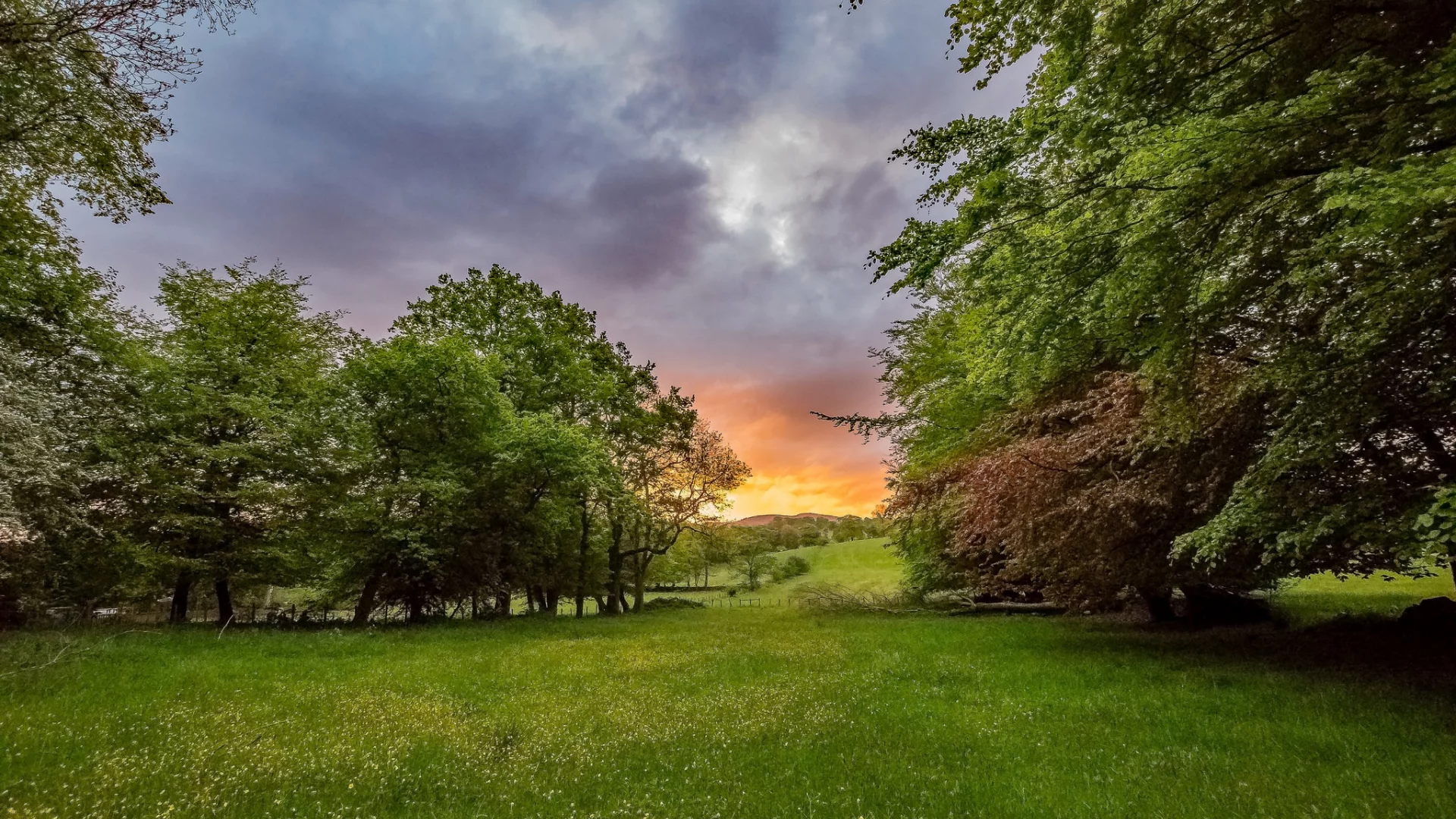природа, красота