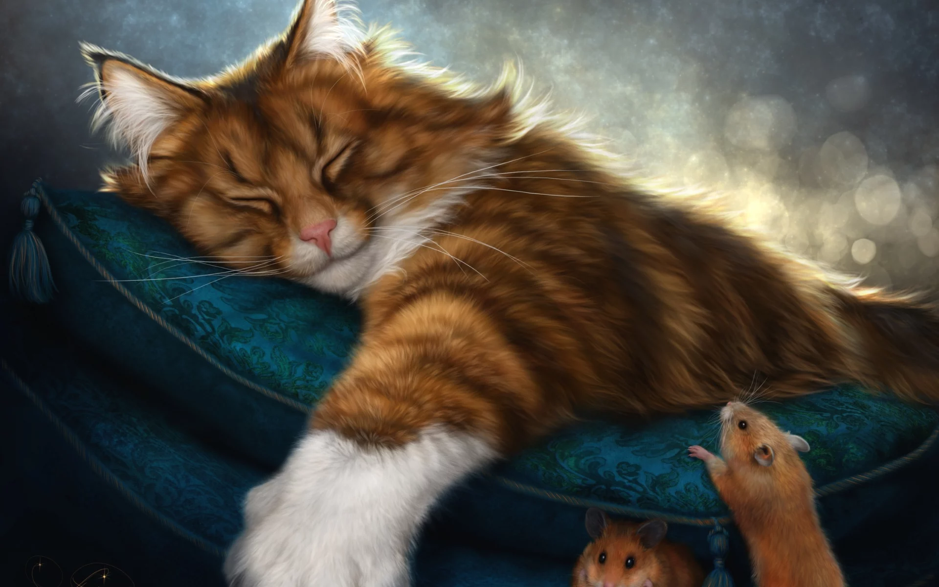 глаза, взгляд, котейка, кот