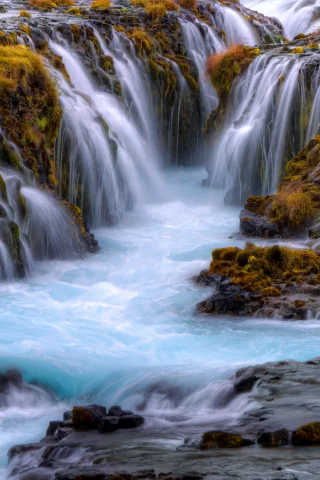 природа, красота